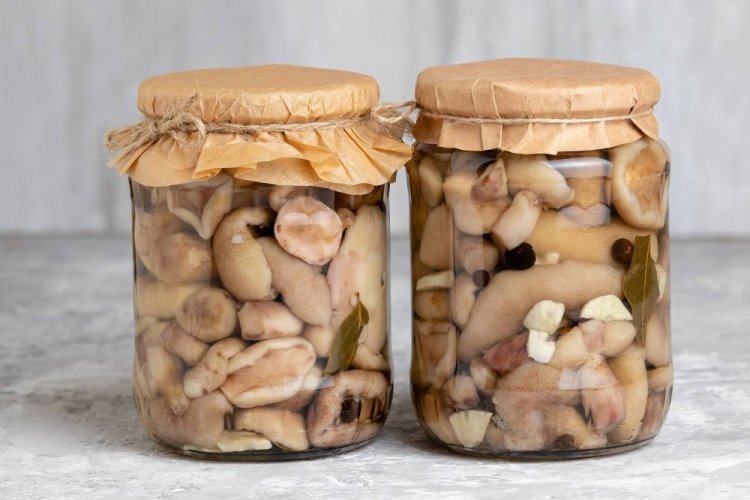 Champiñones encurtidos con ajo para el invierno