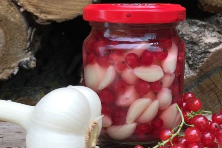 Eingelegter Knoblauch mit roten Johannisbeeren