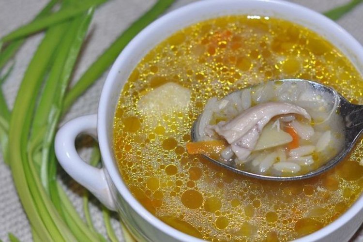 Hühnersuppe mit Reis und Salzgurken