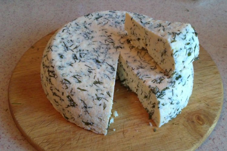 Queso de kéfir con hierbas