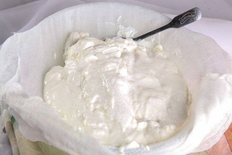 Queso Filadelfia de kéfir casero