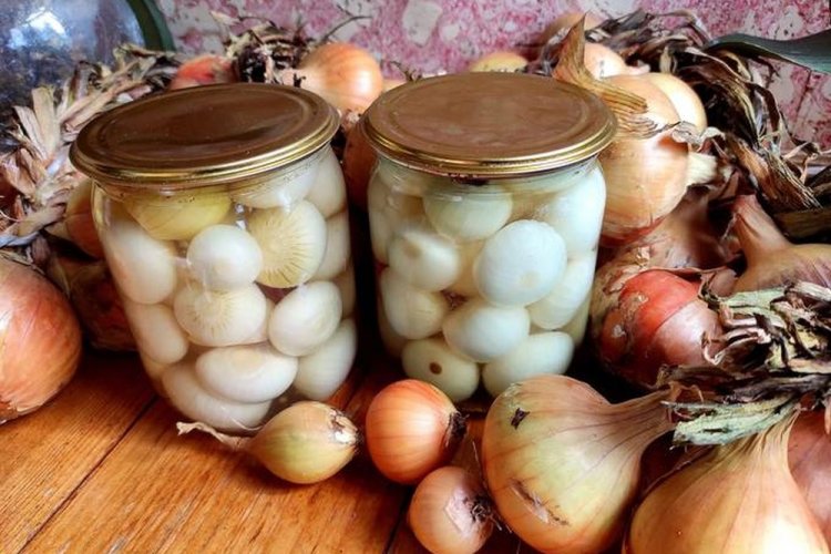 Würzige eingelegte Zwiebeln für den Winter