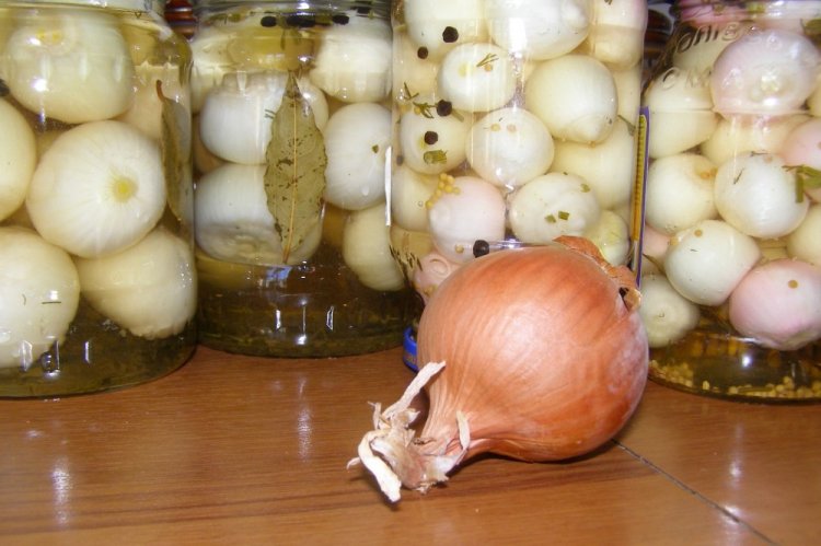 Eingelegte Zwiebeln mit Pflanzenöl