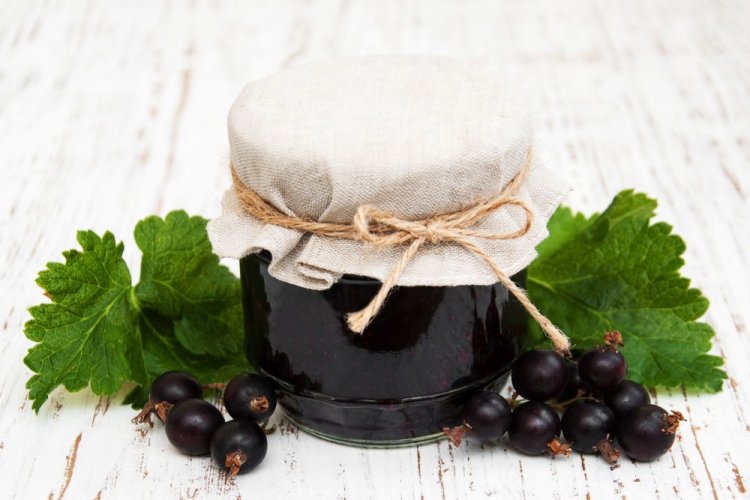 Blackcurrant Jam with Agar-Agar