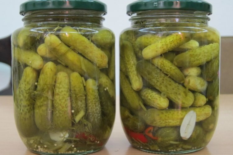 Pepinillos picantes y crujientes para el invierno