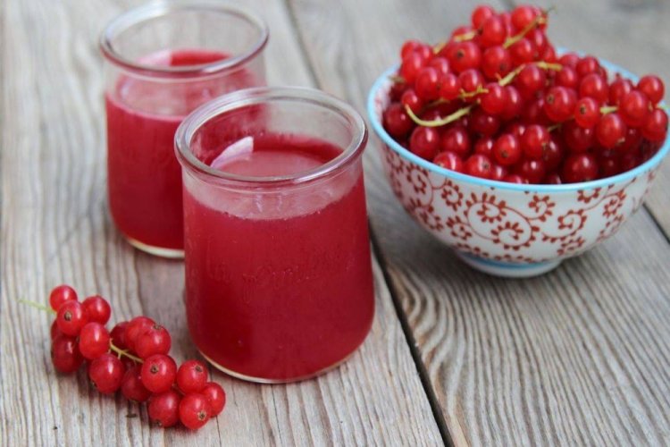 Compota de grosella roja «Original»