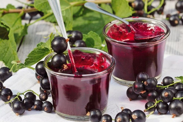 Желе из черной смородины без варки