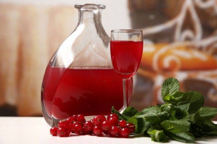 Redcurrant Wine with Mint