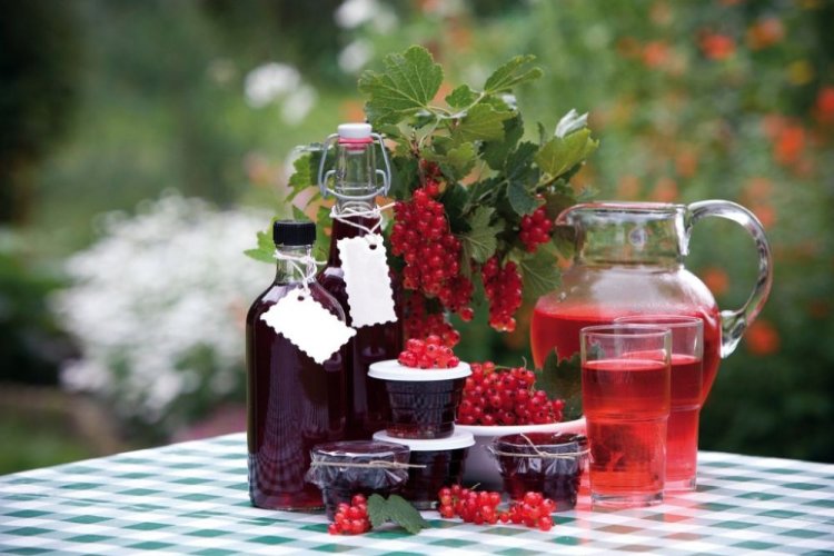 Sweet Redcurrant Wine