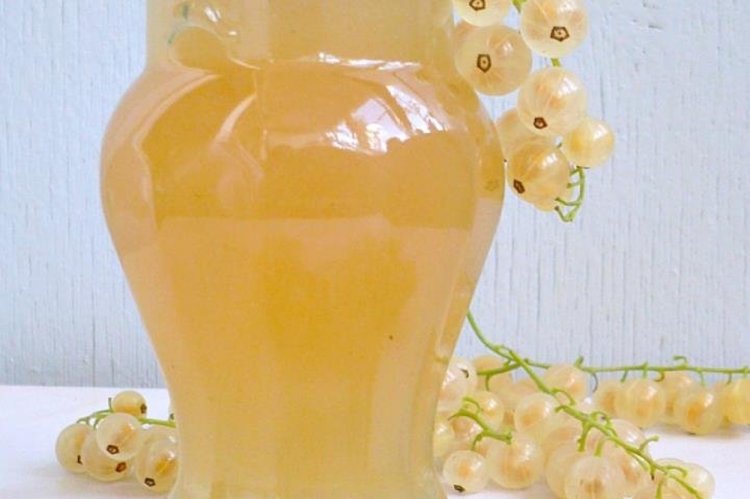 Kompott aus weißen Johannisbeeren mit Vanille