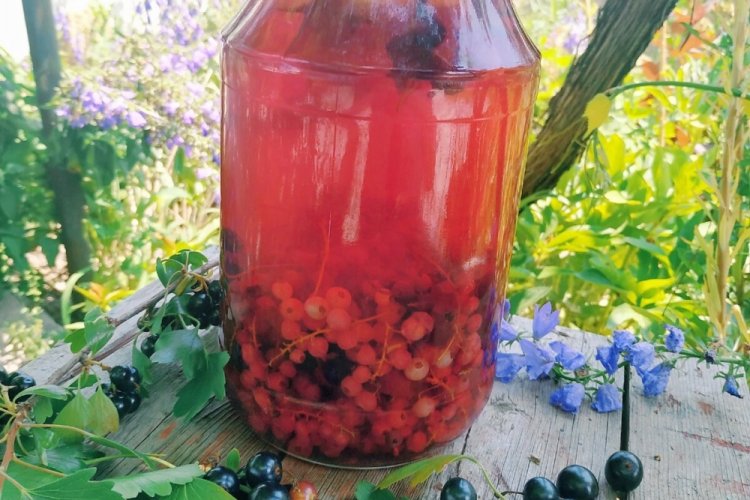 Kompott aus weißen und schwarzen Johannisbeeren für den Winter