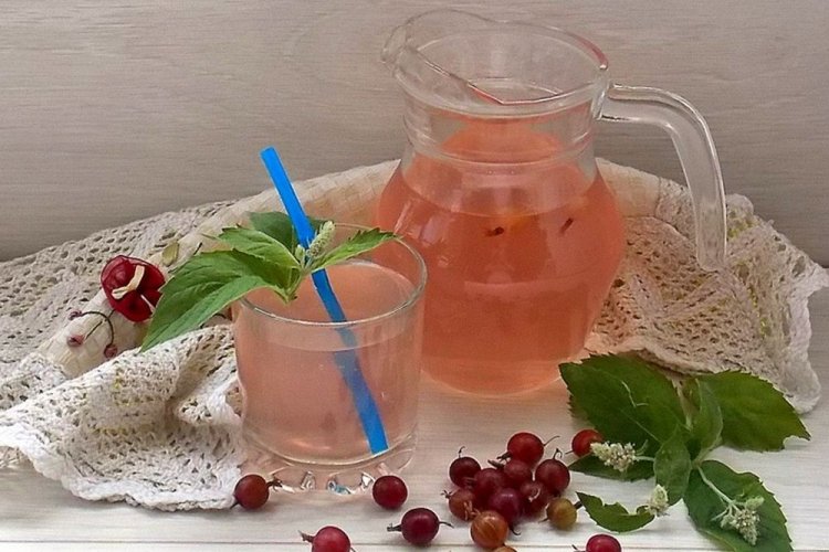 Red Gooseberry Mojito Compote with Mint