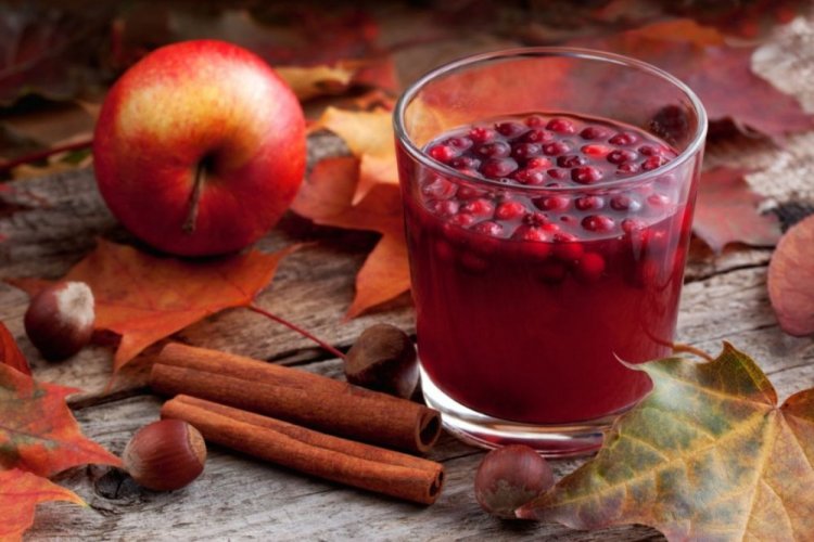 Kompott aus Äpfeln und Preiselbeeren mit Zimt