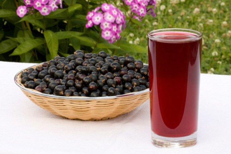 Johannisbeerkompott mit Gewürzen