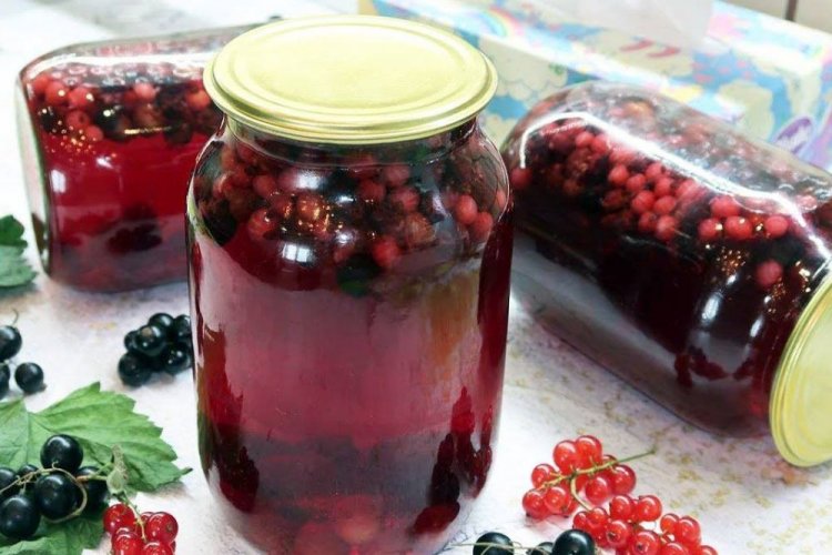 Kompott aus schwarzen und roten Johannisbeeren für den Winter