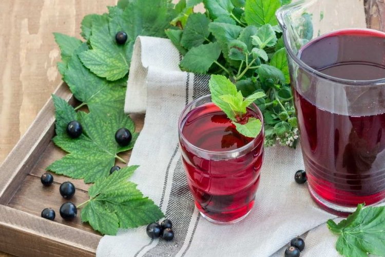 Kompott aus Melisse und schwarzen Johannisbeeren
