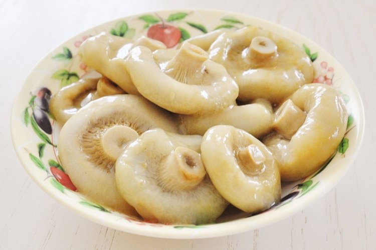 Setas de leche encurtidas con esencia de vinagre