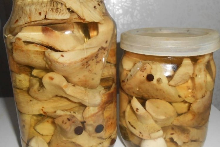 Setas de leche encurtidas con rábano picante para el invierno