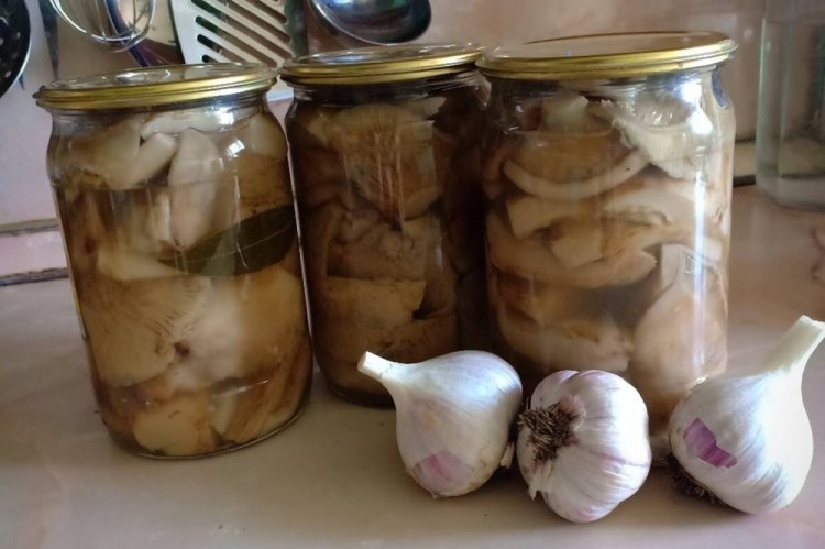 Setas de leche encurtidas sin esterilización