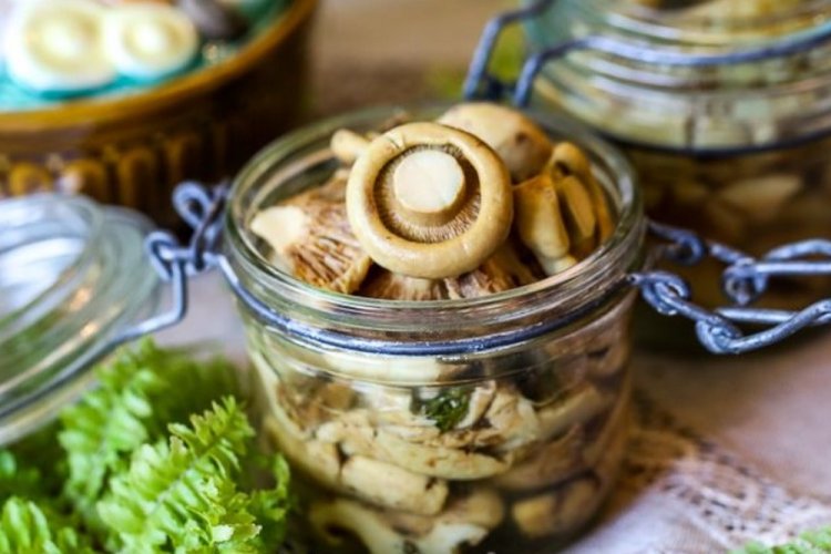 Setas de leche encurtidas con aceite vegetal