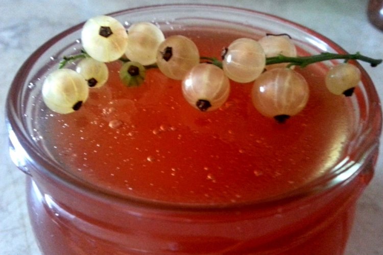 Marmelade aus roter und weißer Johannisbeere