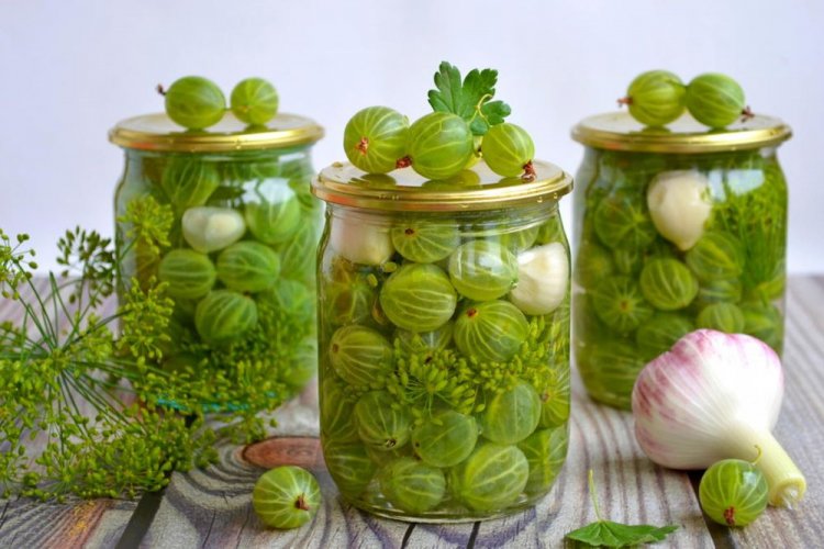 Pickled Gooseberries for Winter