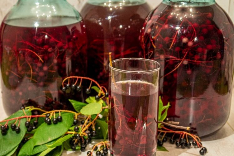 Bird Cherry Compote Without Sterilization