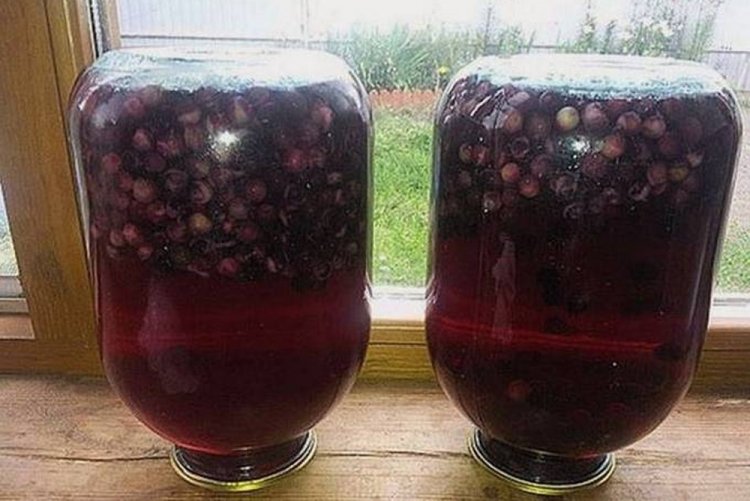 Bird Cherry Compote in a 3-Liter Jar