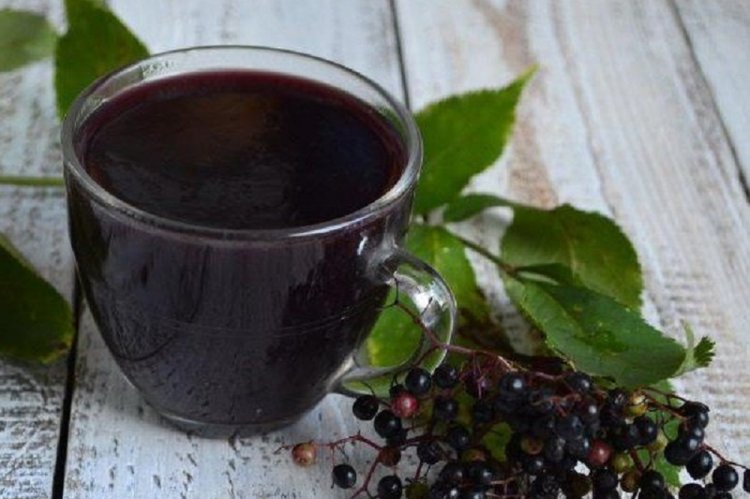 Bird Cherry and Currant Compote for Winter
