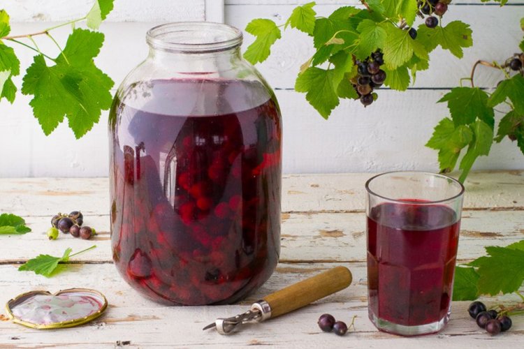 Black Currant Compote for Winter
