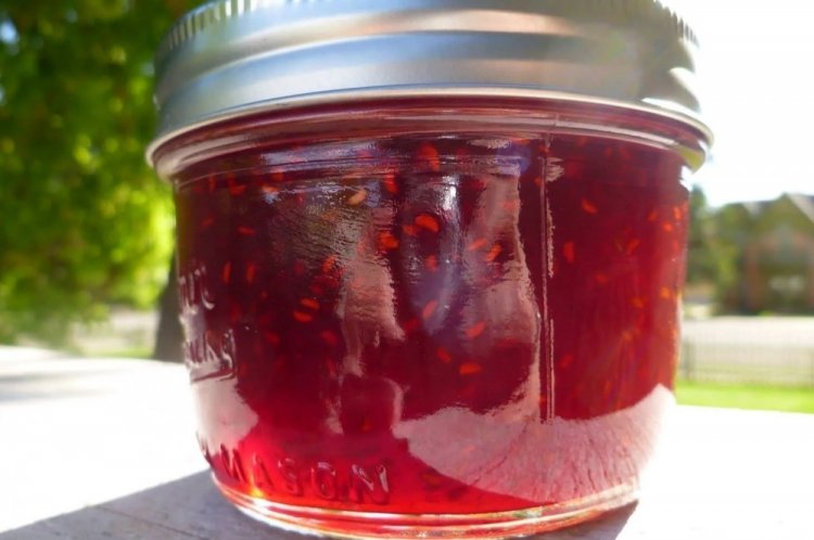 Gelatina de frambuesa con semillas