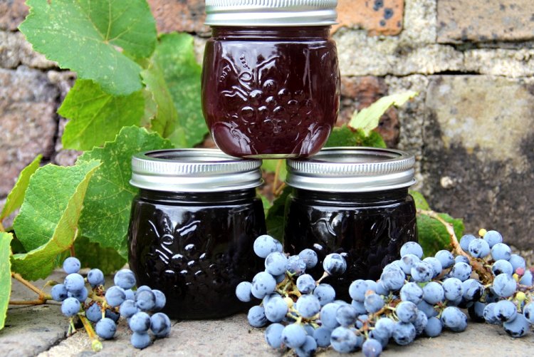 Traubenmarmelade mit Agar-Agar