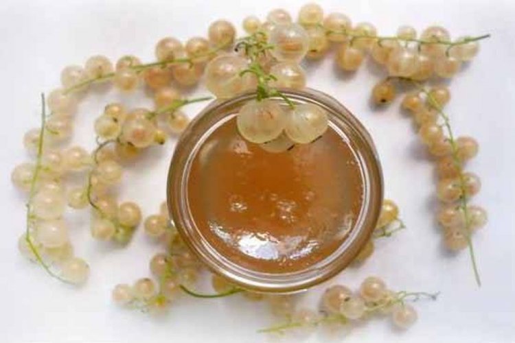 Sugar-Free White Currant Jelly