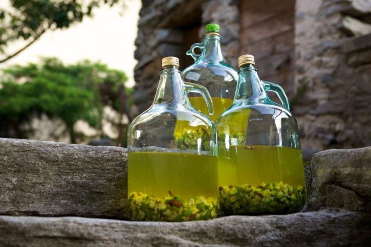Wine from Green Gooseberries and Rhubarb