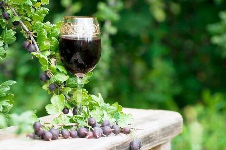 Dark Wine from Red Gooseberries