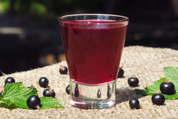 Vino de grosella negra con levadura de vino