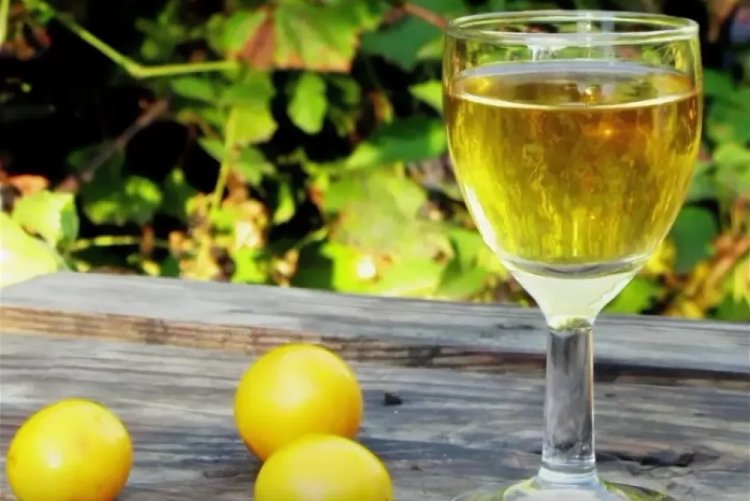Vino de ciruela mirabel – receta clásica