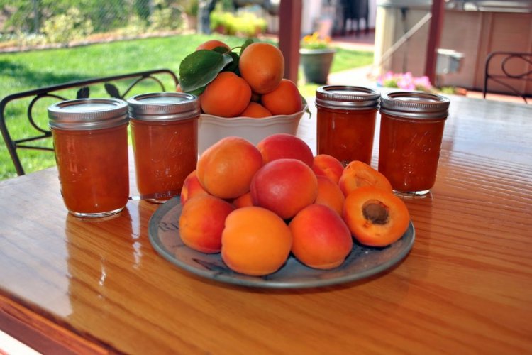 Five-Minute Apricot Jam