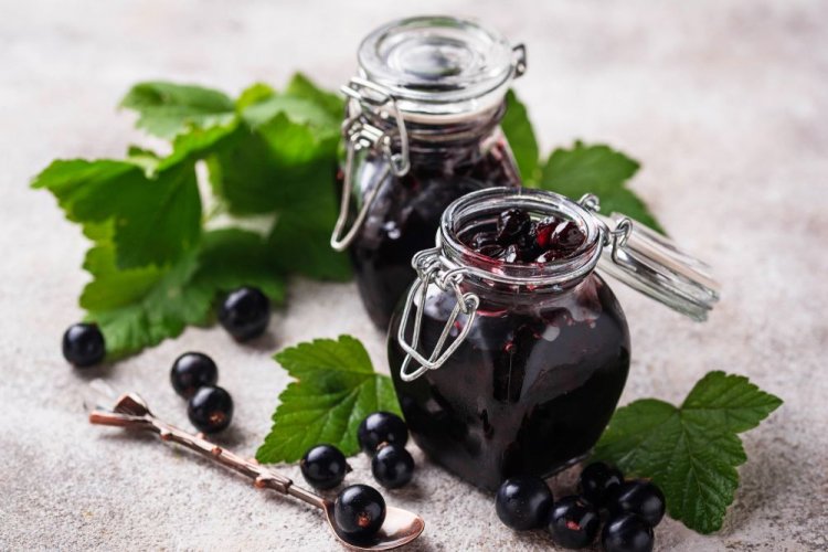 Blackcurrants with Sugar Without Cooking – Classic Recipe