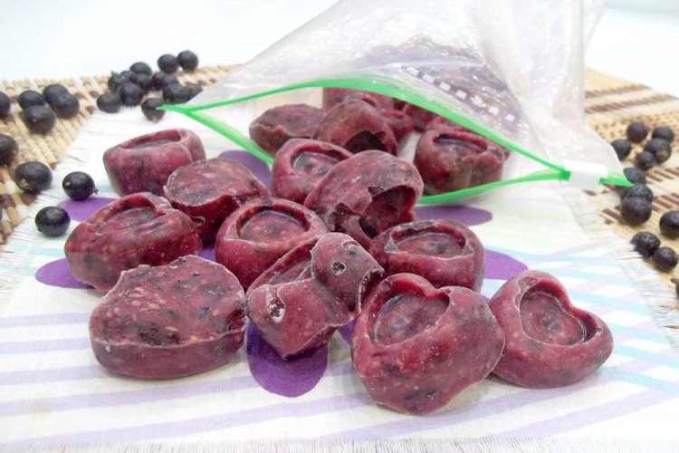 Blackcurrants with Sugar in Ice Cube Trays