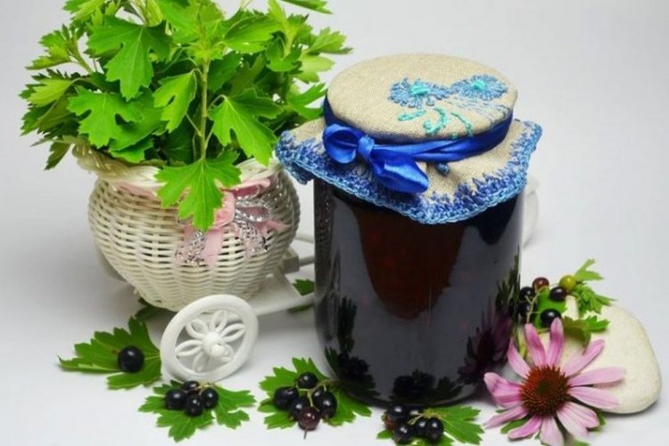 Blackcurrants with Mint and Sugar for Winter