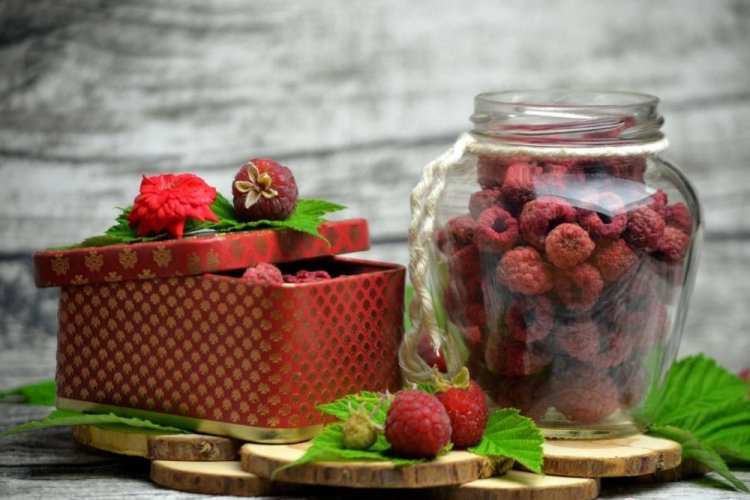 Getrocknete Himbeeren für den Winter