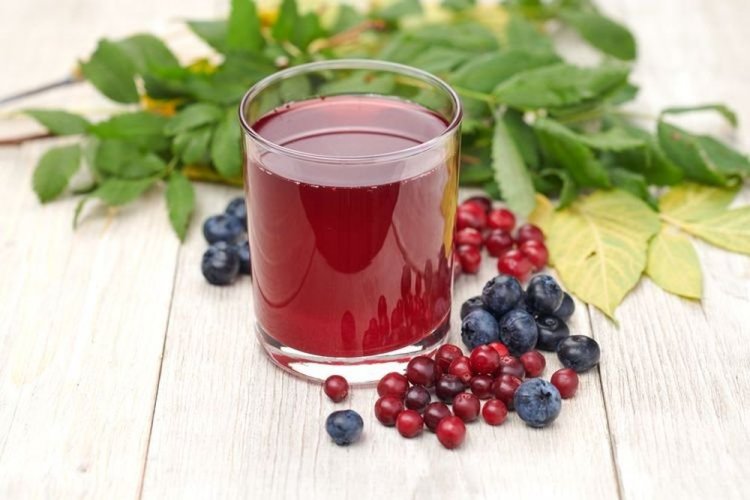 Kompott aus Felsenbirnen und Cranberrys mit Honig