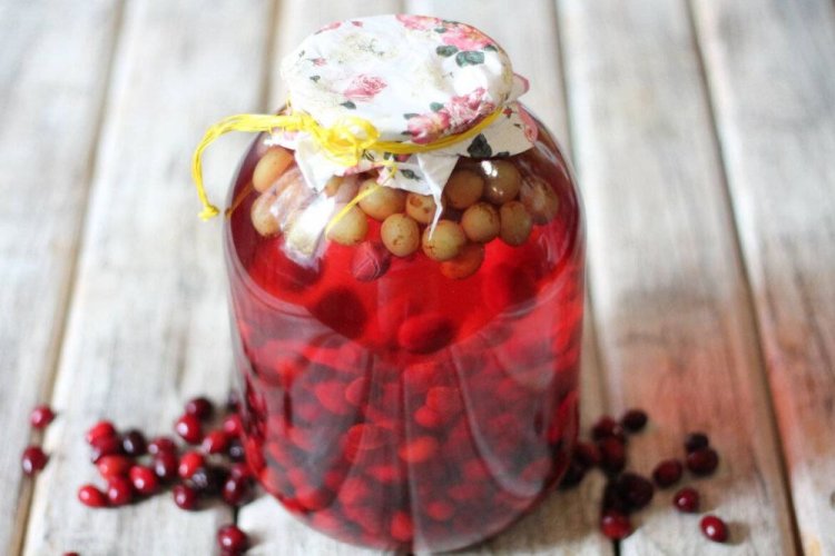 Kompott aus Preiselbeeren mit Felsenbirnen und Trauben für den Winter