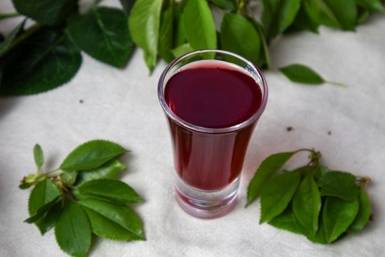 Johannisbeerlikör mit Honig