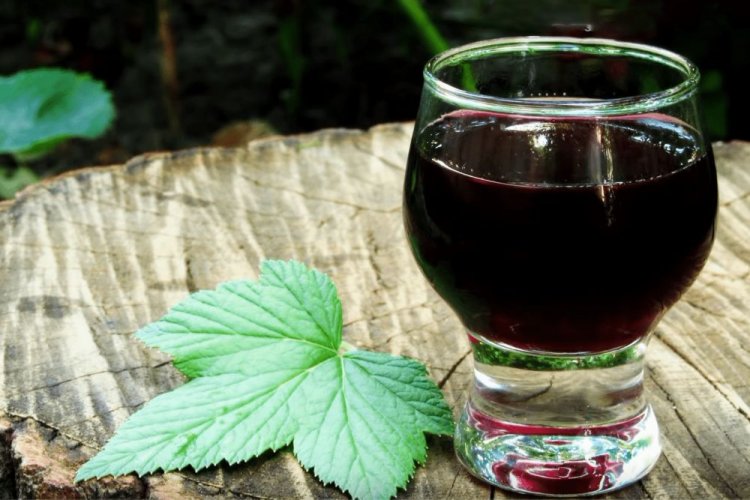 Likör aus schwarzem Johannisbeersaft und Wodka