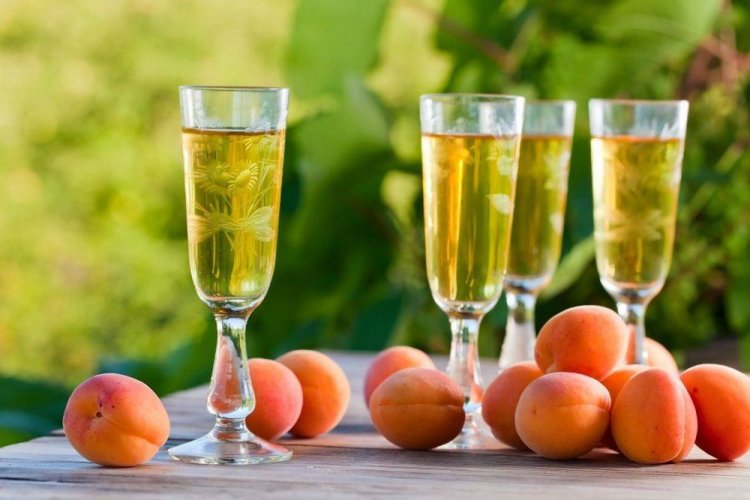 Aprikosenwein mit Weinhefe