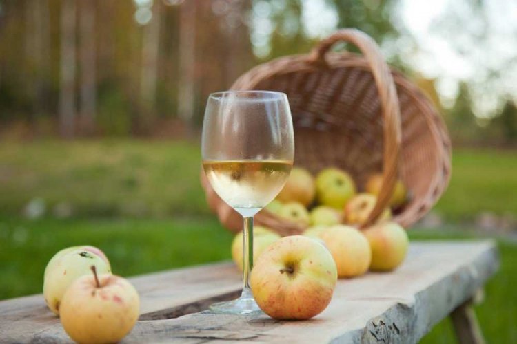 Fruchtwein aus Aprikosen und Äpfeln