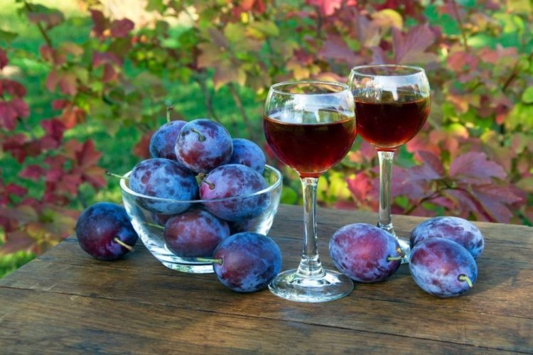 Vino de ciruela – receta clásica