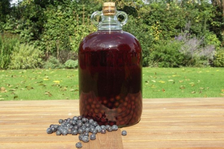 Saskatoon Berry Wine with Berries and Juice